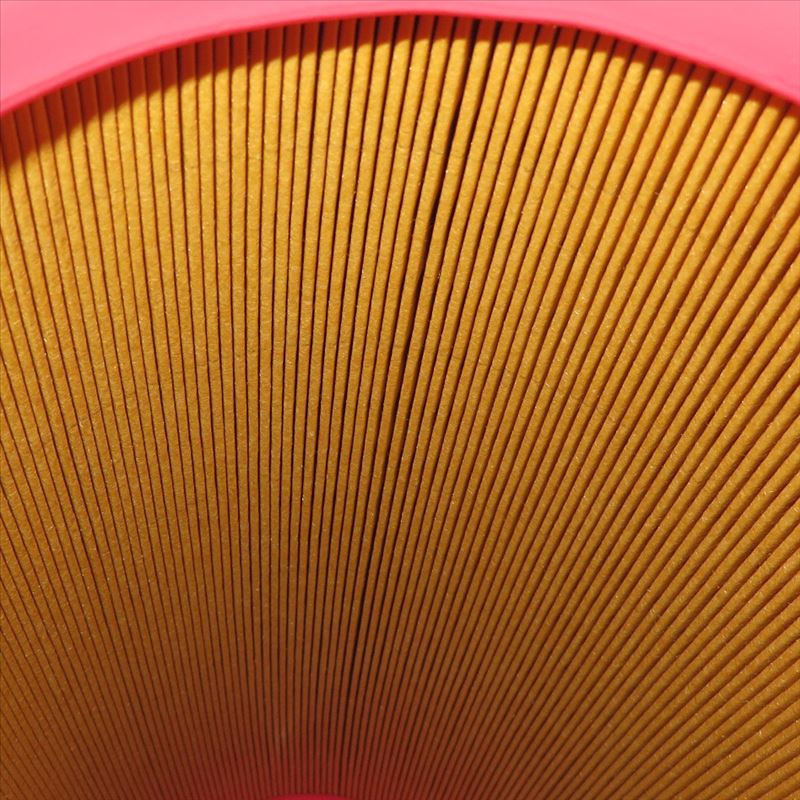 Air Filter AF25723
