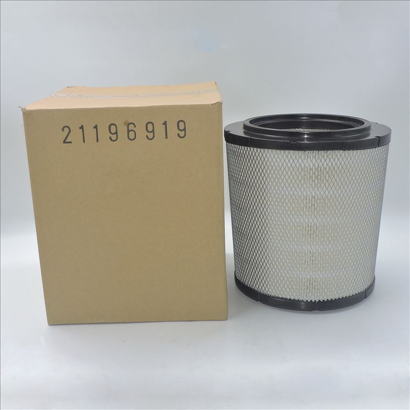 Air Filter 21196919