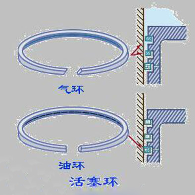 Oil ring