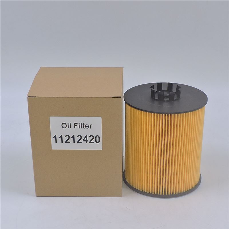 Oil Filter 11212420 P550938