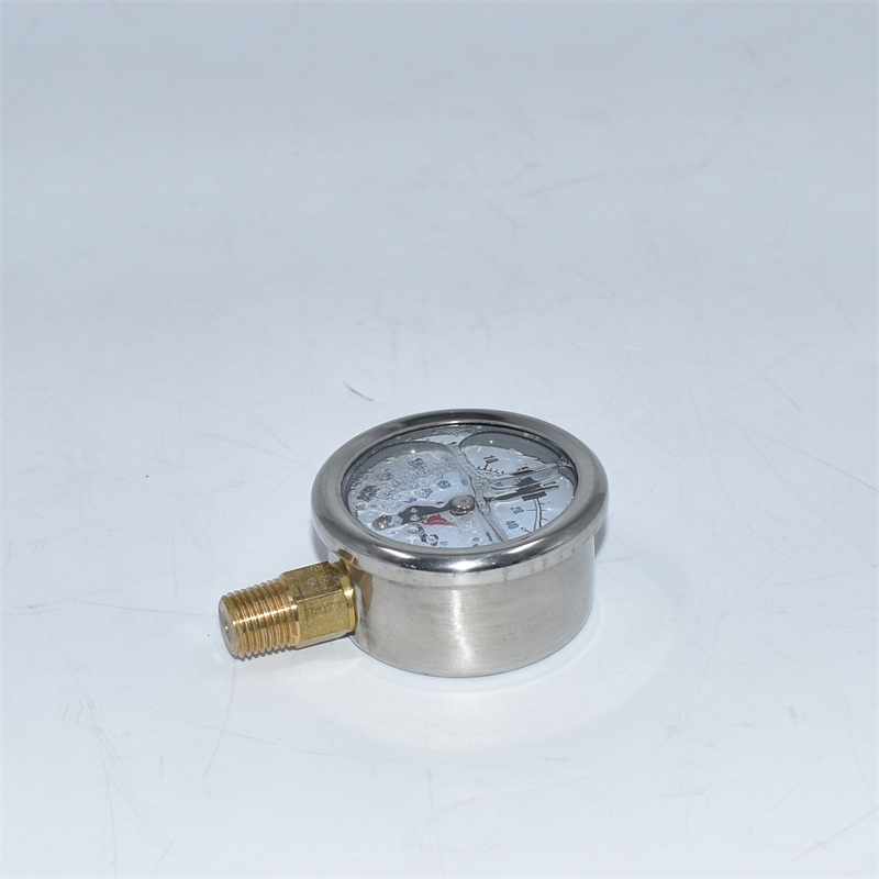 Gauge RK19476