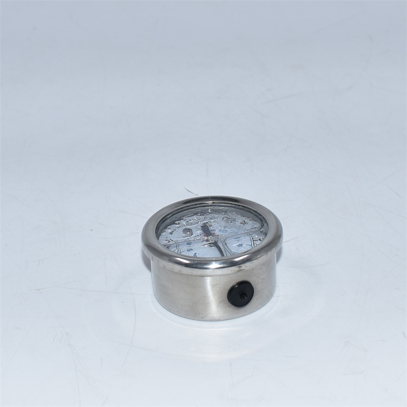 Gauge RK19476