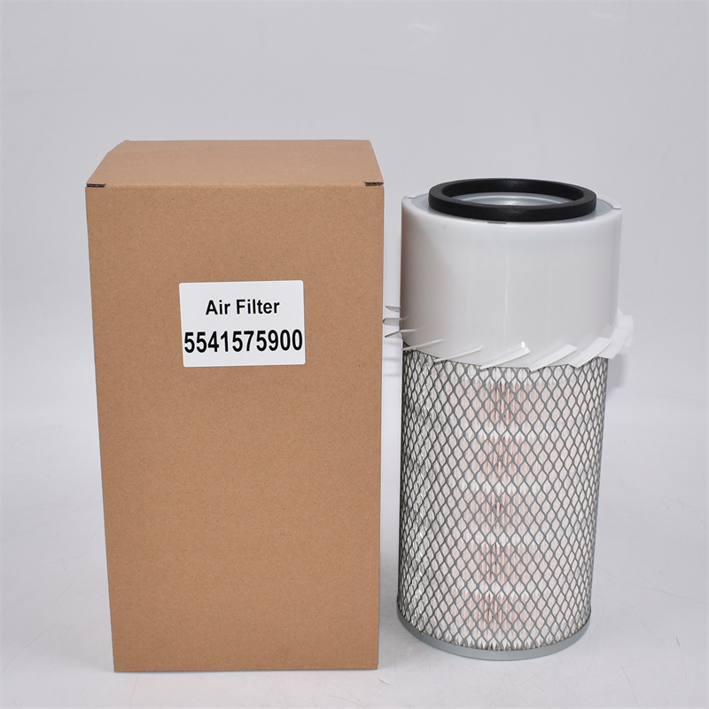Air Filter 5541575900 P181052