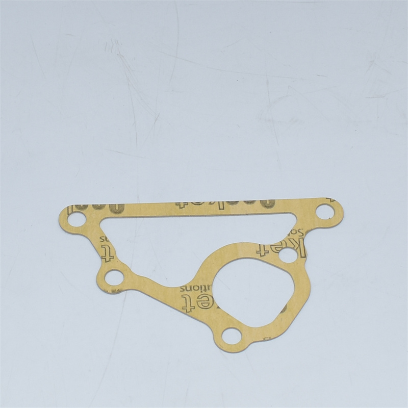 Water Pump Gasket U45996990 145996990