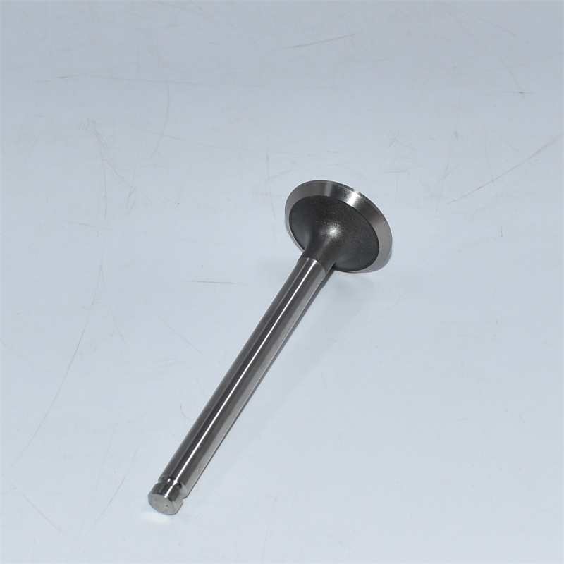 Exhaust Valve 905-003 3142A051