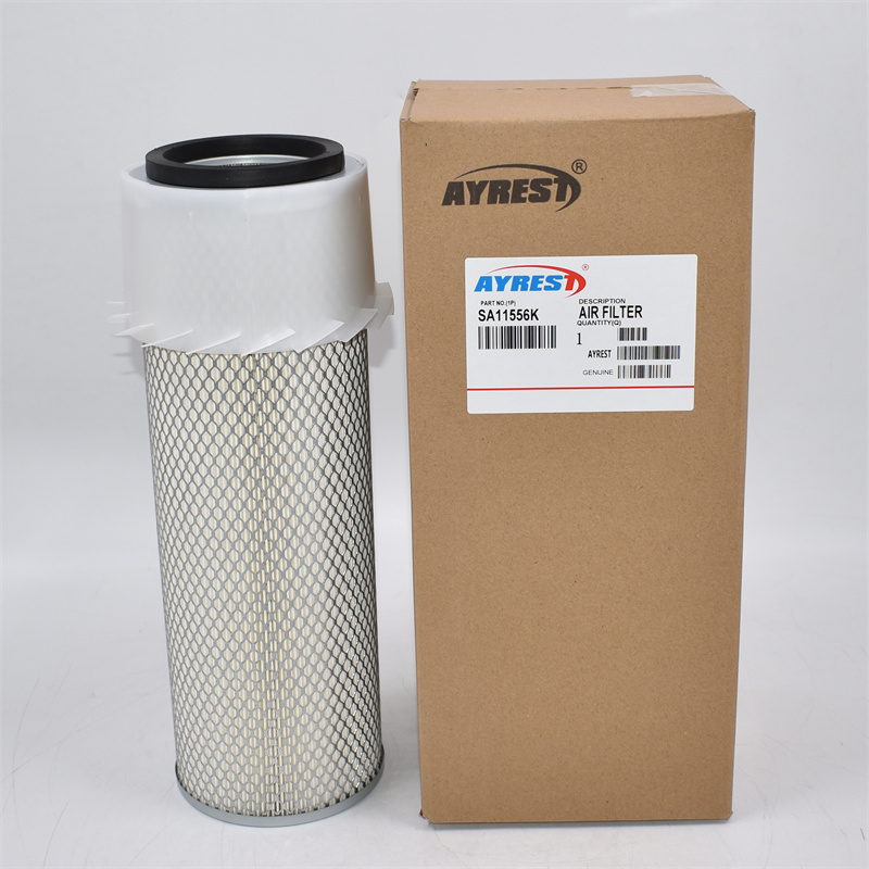 1013233 Air Filter P182062
