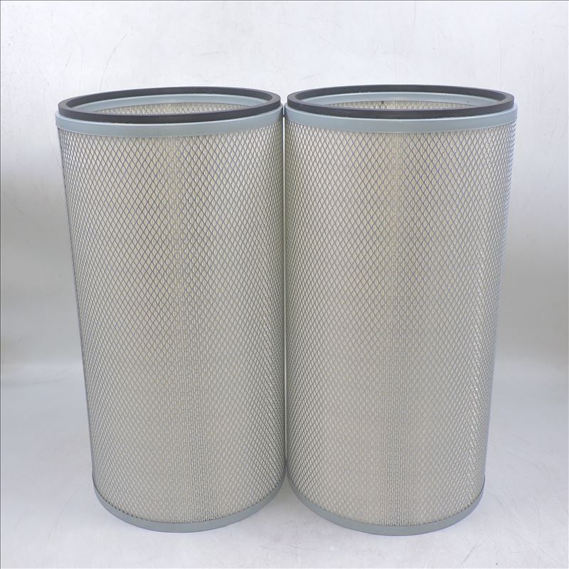 Air Filter 1W-3636