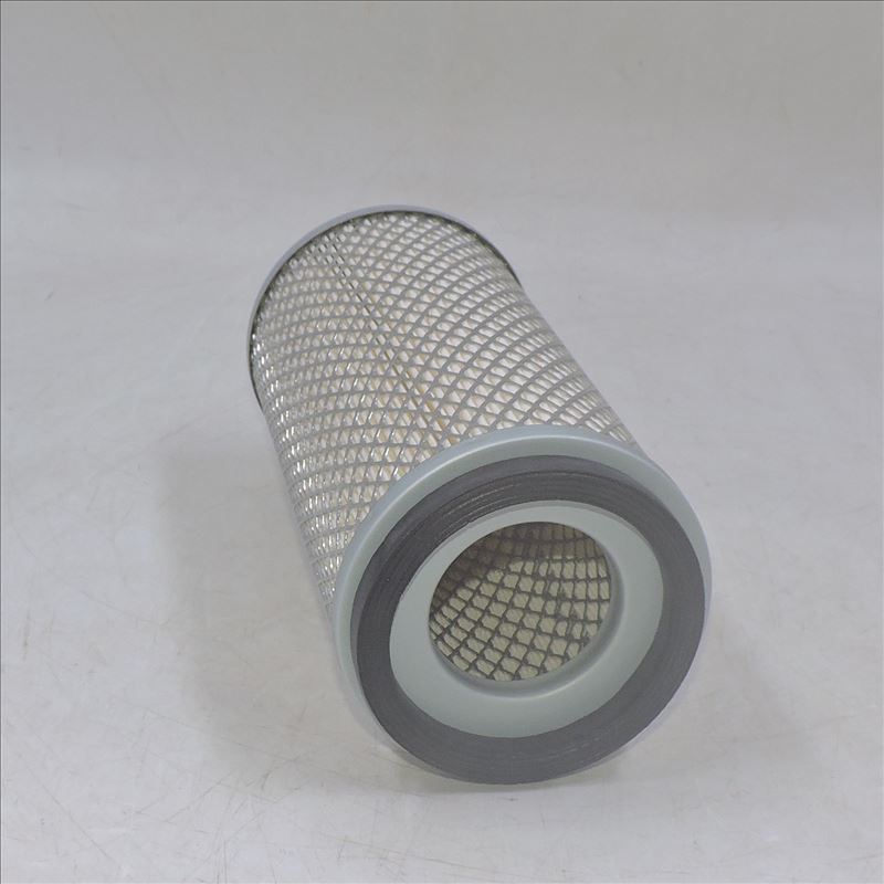 Fiat Lift Trucks Air Filter 2165029