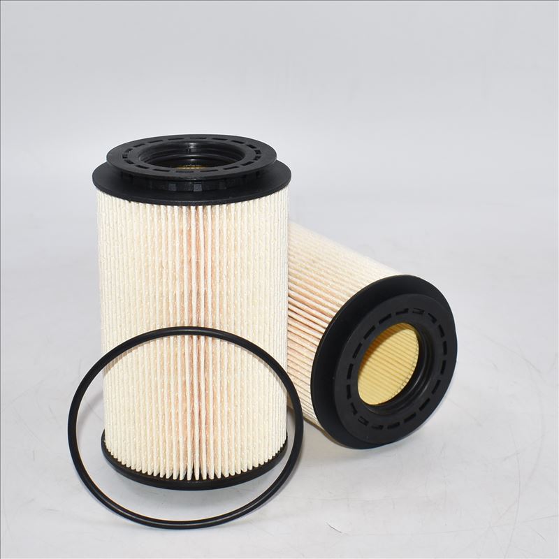 Fuel Filter FF5769