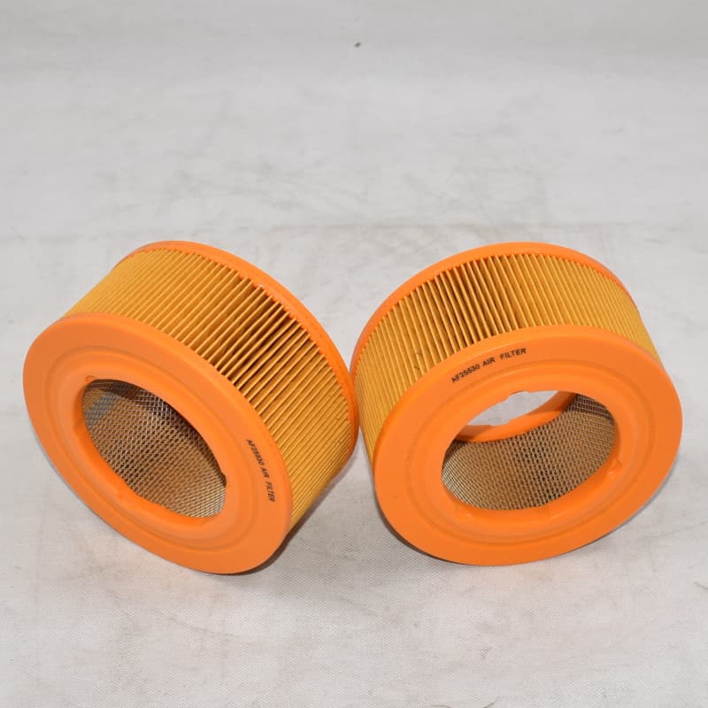Replacement Air Filter Fleetguard AF25530 with Original Quality