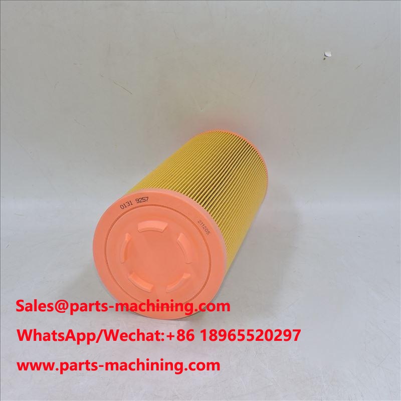Air Filter 01319257 1319257 P778989 SA 17100 46836