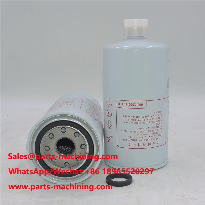 Fuel Filter 65.12503-5011E P558000 SN 1212 FS1212