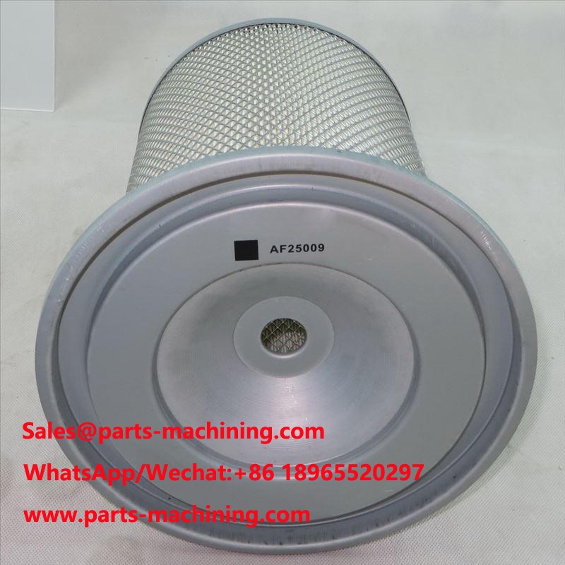 Air Filter AF25009