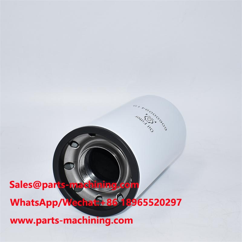 Oil Filter 6060009419 P553548 LF3548