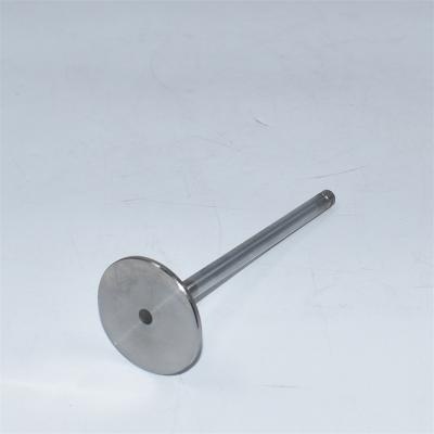 John Deere Intake Valve R98062 R515093