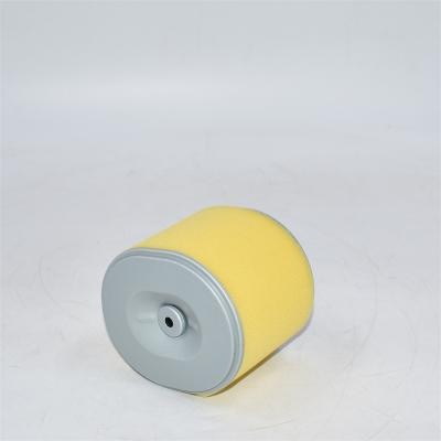 AF25474 Air Filter P607254 PA3957 17210ZE3000 5748378 Cross Reference