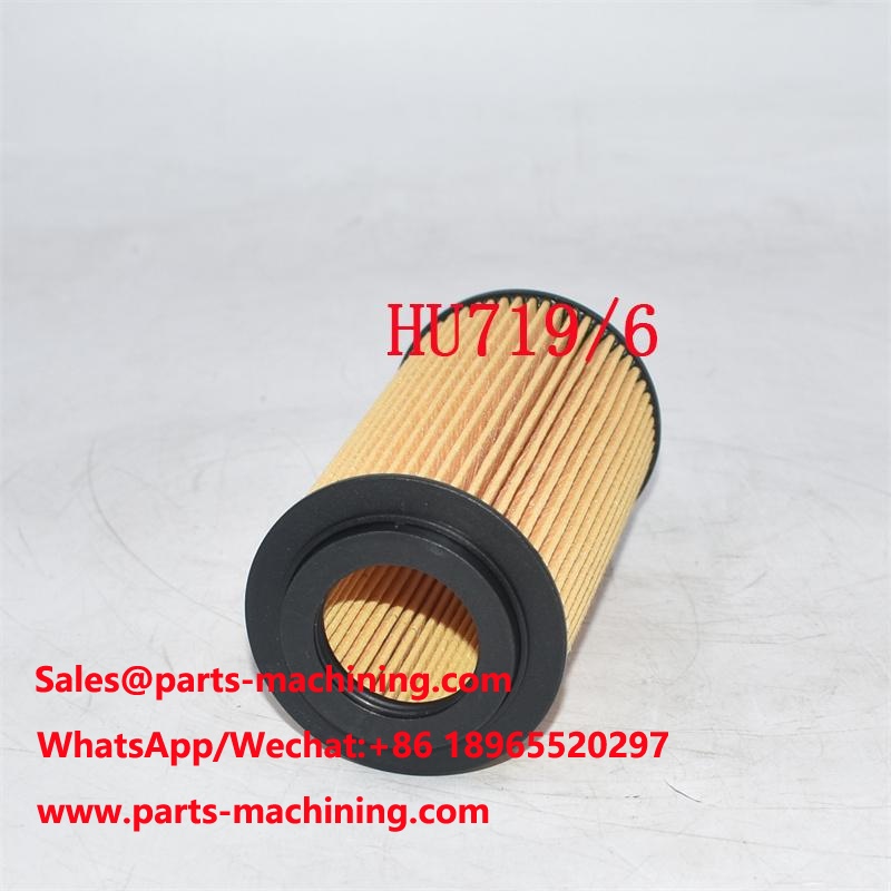 HU719/6 Oil Filter P3986 Manufacturer