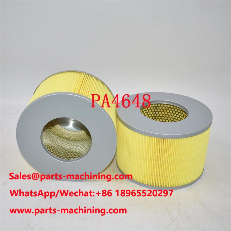 PA4648 Air Filter