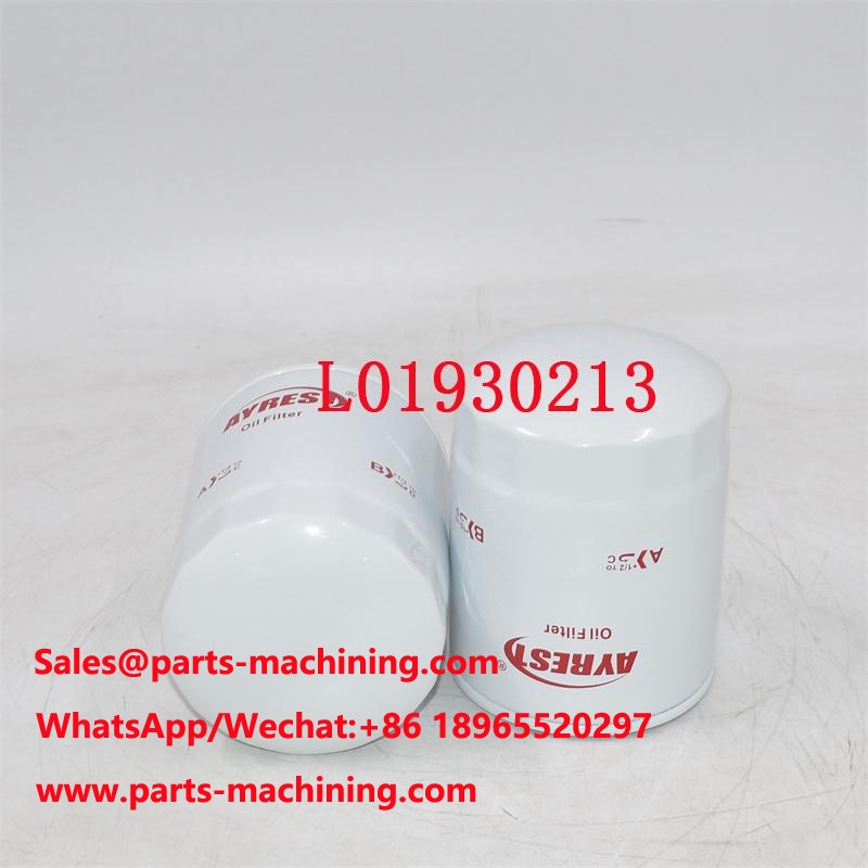 Original L01930213 Oil Filter H210WN