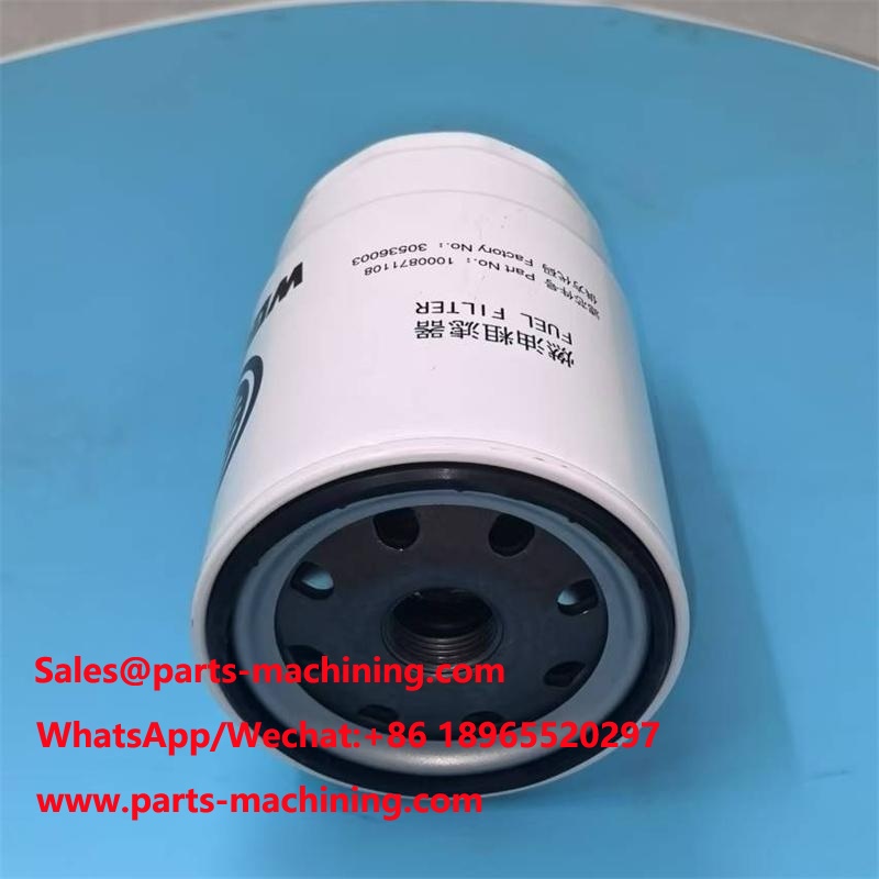 1000871108 Fuel Filter Element Replacement
