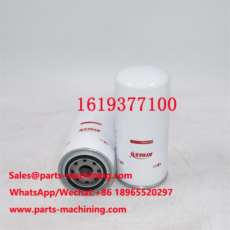 1619377100 Oil Filter B262 Replacement