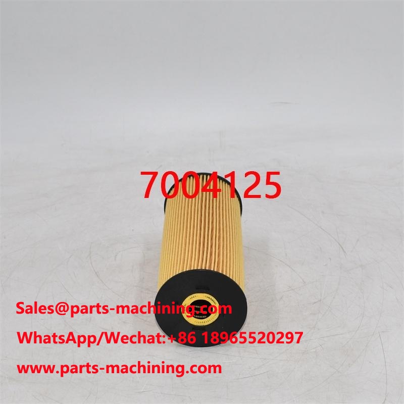 7004125 Oil Filter 560282808 For Mobile Crane