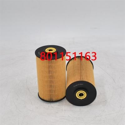801151163 Fuel Filter 3I-1212 For Bus