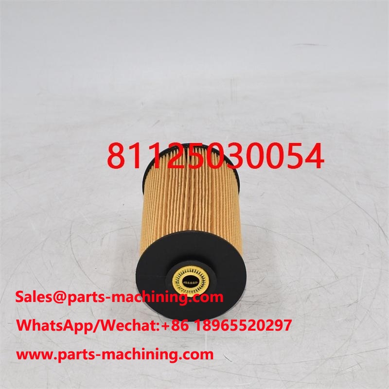 Fuel Filter 81125030054 81125030018