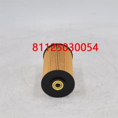 Fuel Filter 81125030054 81125030018
