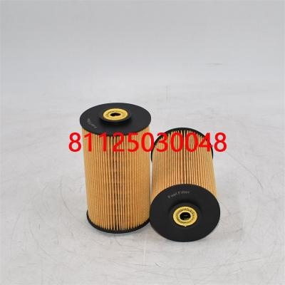 High-Quality Fuel Filter 81125030048 81125030021