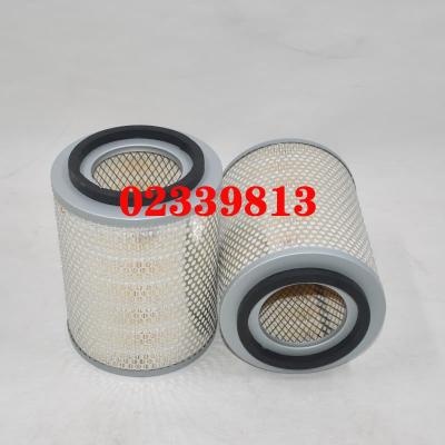 Air Filter 02339813