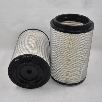 AF26569 Custom Size Air Filter