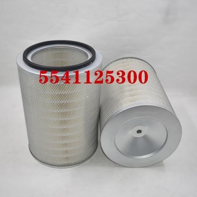 5541125300 Air Filter OEM ODM